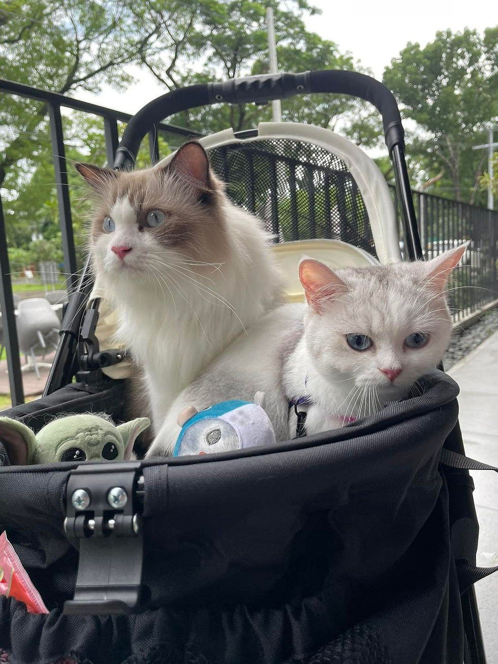 Toshi and Kanna’s first out of town trip together!