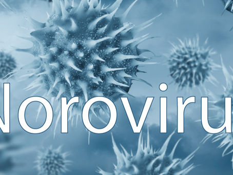 Caption reading Norovirus and small virus capsules around it
