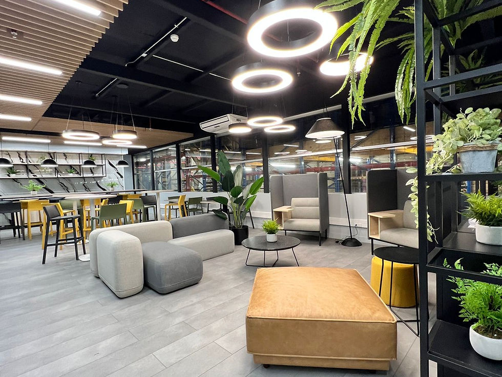 WhatsApp Image 2023-12-06 at 13.11.53.jpeg