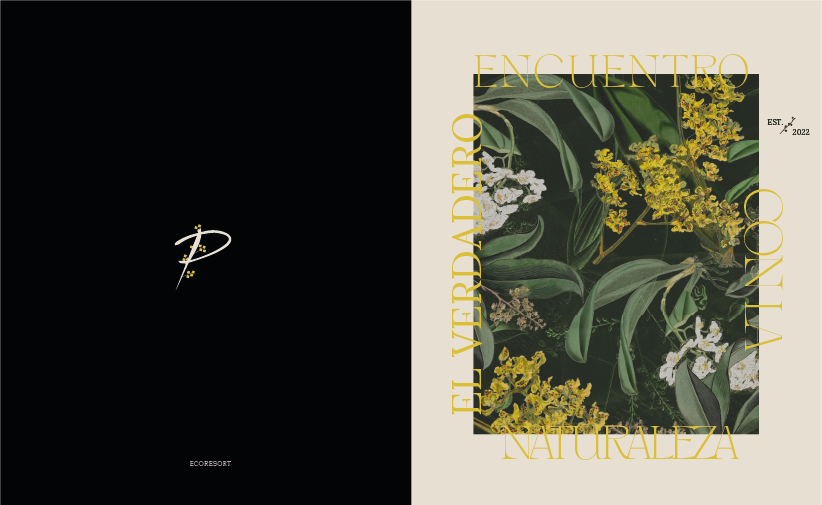 Mesa de trabajo 16.png