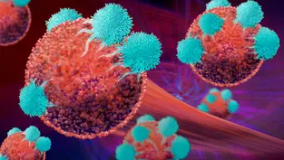 O cancro como verdadeiro teste de esforço do sistema de saúde @ Diário de Notícias
