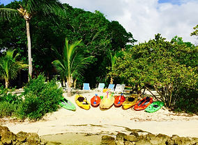 Our Fleet of Kayaks at Historic Shadow Point in Key Largo