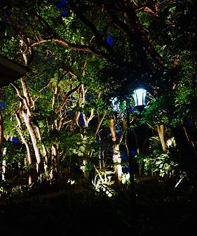 Lighting at Historic Shadow Point -Perfect for evening weddings