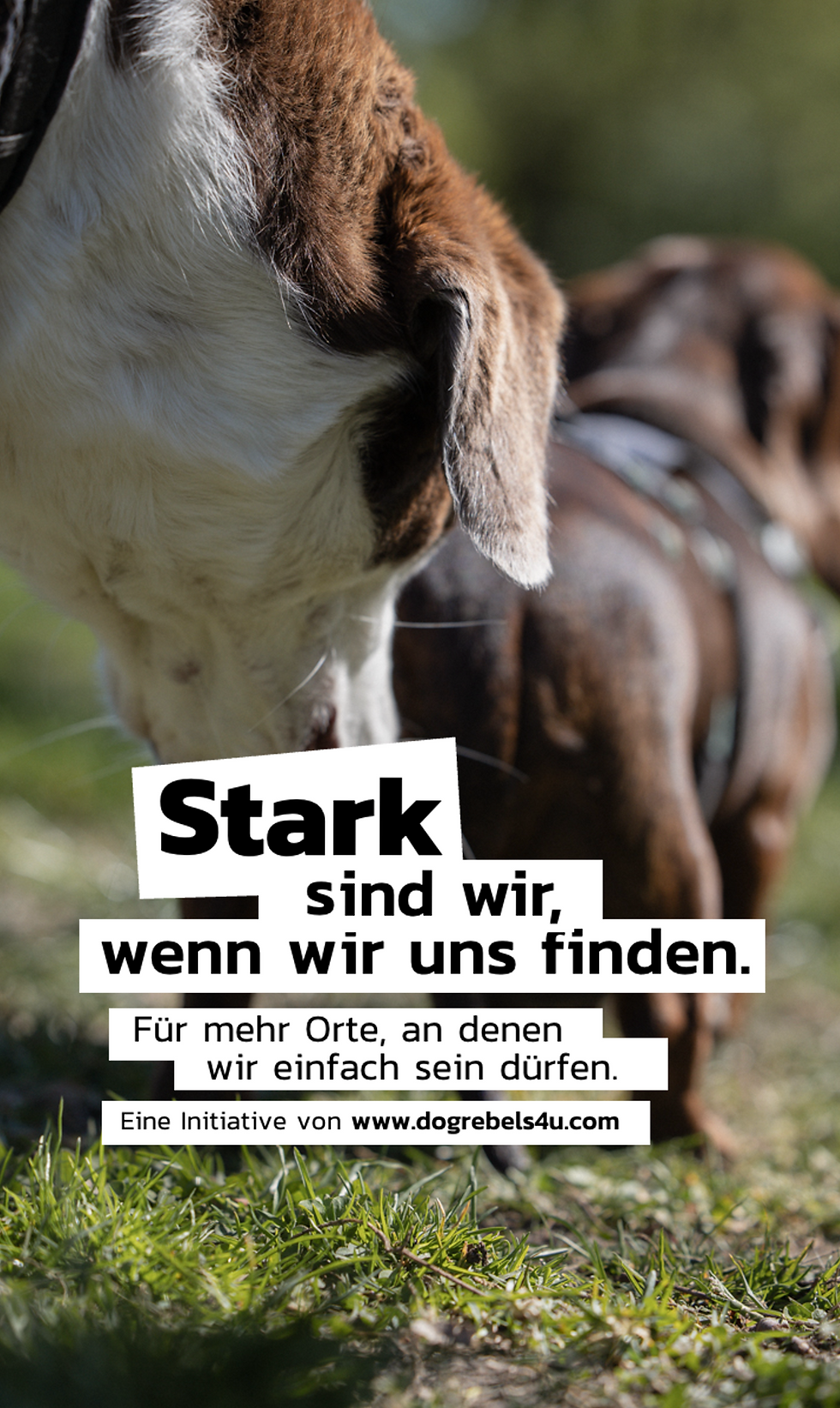 Bildschirmfoto 2025-05-12 um 19.18.39.png
