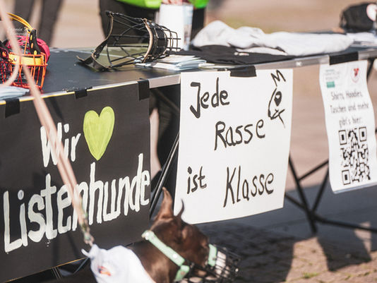 Misunderstood, condemned... loved: How listed dogs are unfairly singled out