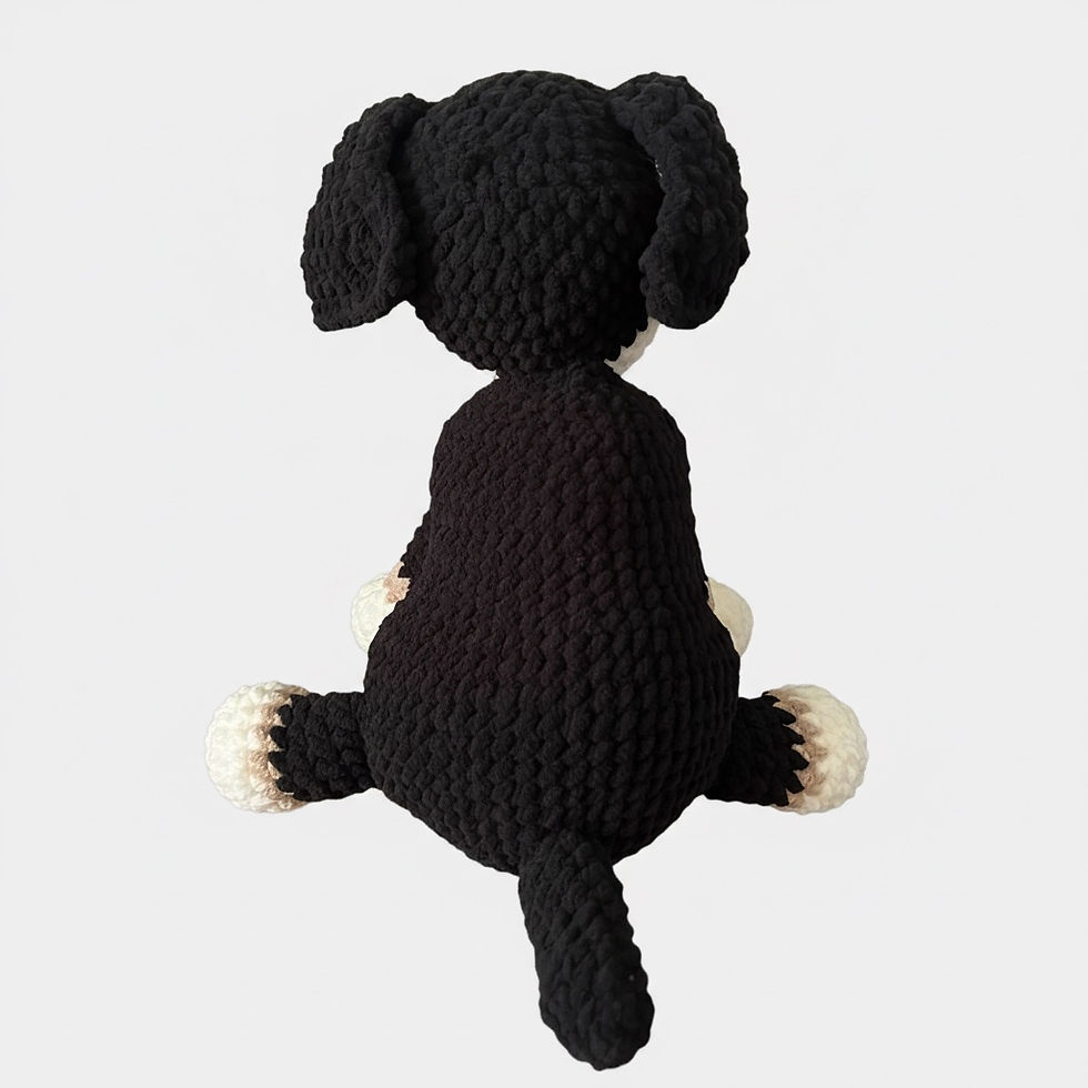 Thumbnail: Bernese Dog