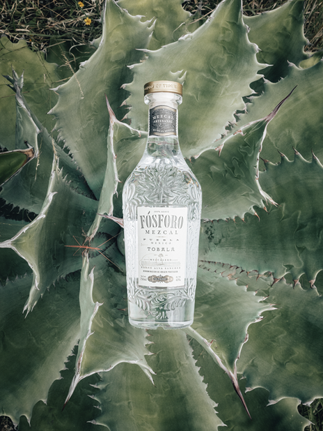 Tobala over penca 4-5_7.3.1.png