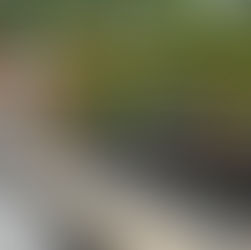 Powering Our Communities: The Impact of Municipal Electrical Work