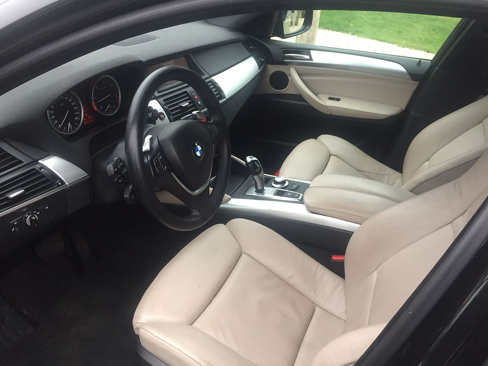 Miniature : BMW X6 Xdrive30d