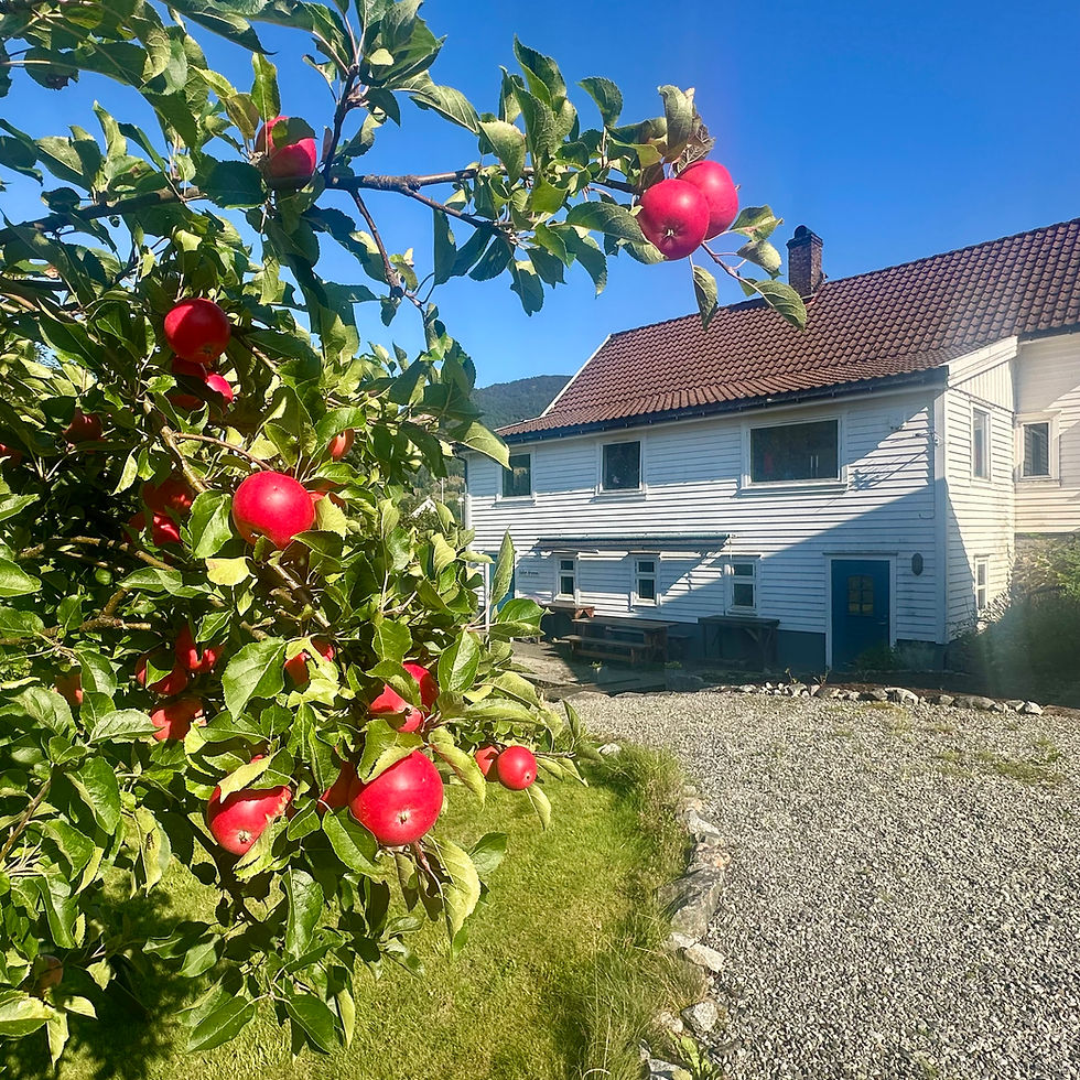 Reflections on Growth, Reaping and Sowing