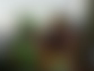 До Великодніх свят