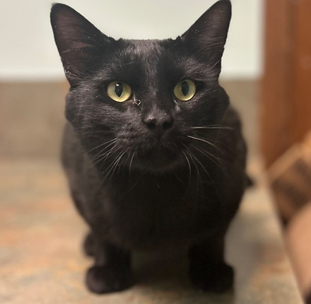 pepper.jpeg