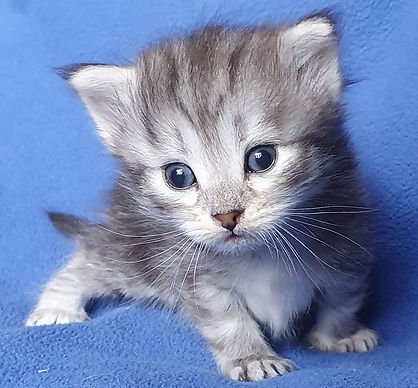 20220521_174018 hö ba.jpg