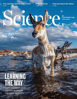 Jesmer et al Science cover