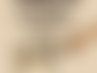 Konsequent trotz Havi-Dackelblick: Erziehungsfehler vermeiden beim Havaneser