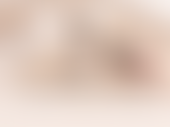 Darf man einen Havaneser scheren? Unsere Erfahrungen mit Fellpflege & Sommerschur