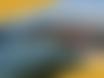 Hotels for sale in Vietnam (hundreds)!