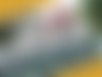 Hotel owners fight to exit the pandemic quandary