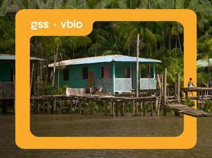 Da floresta ao setor privado: o que o Brasil pode ensinar ao mundo na COP30