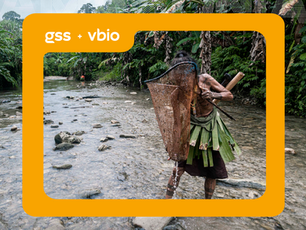 O papel da América Latina na liderança climática global rumo à COP30