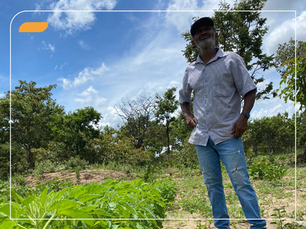 Cerrado Sustentável: resiliência climática e inovação na produção familiar