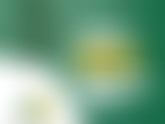 Se você é MEI, confira essa notícia!