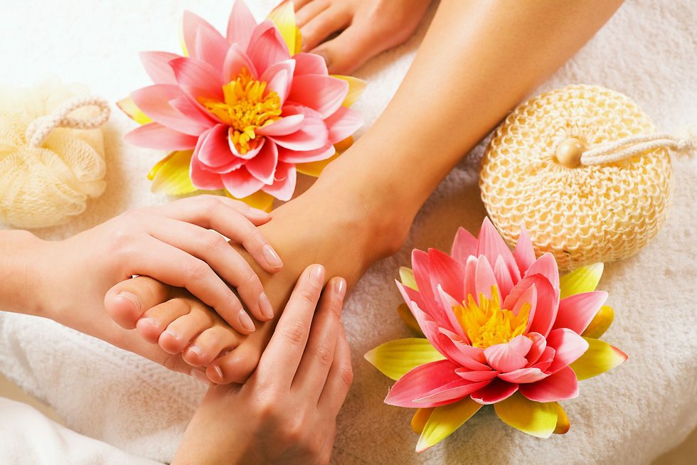 canstockphoto4241412