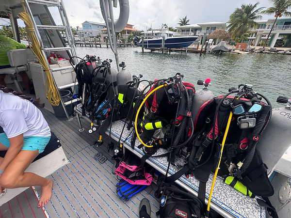 Gear ready in Keys 2025.jpeg