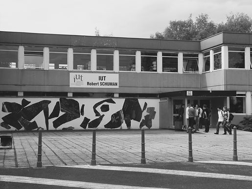 IUT Robert Schuman