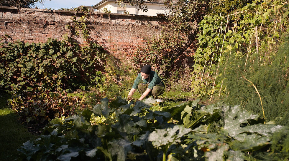 Organic Gardening.png