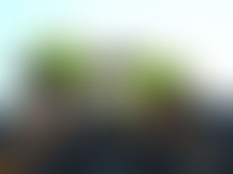 Why Roof Replacement Is a Smart Investment for Atlanta Homeowners