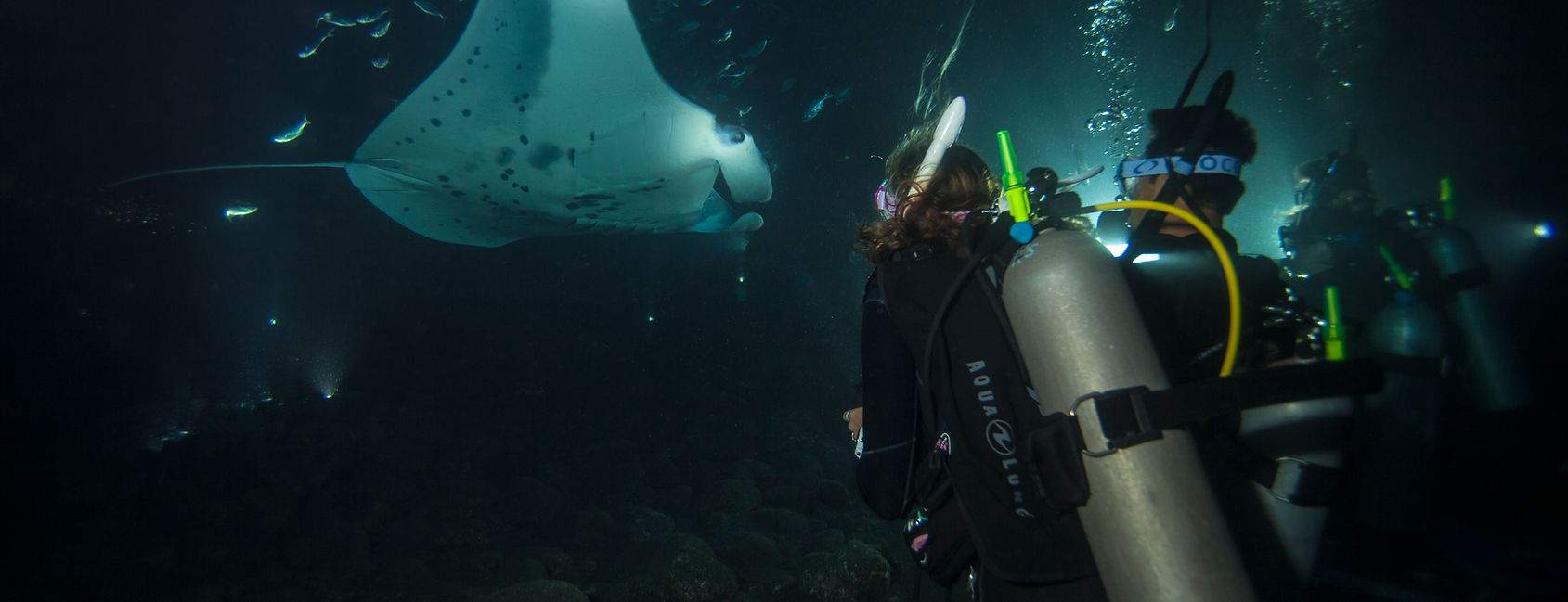 PADI Master Instructor watching manta ray