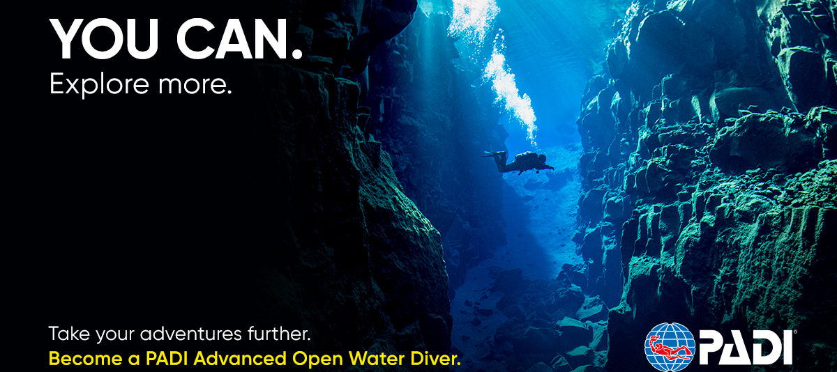 EN-AdvancedOpenWater-cold-Blog-Post-1200x600.jpg