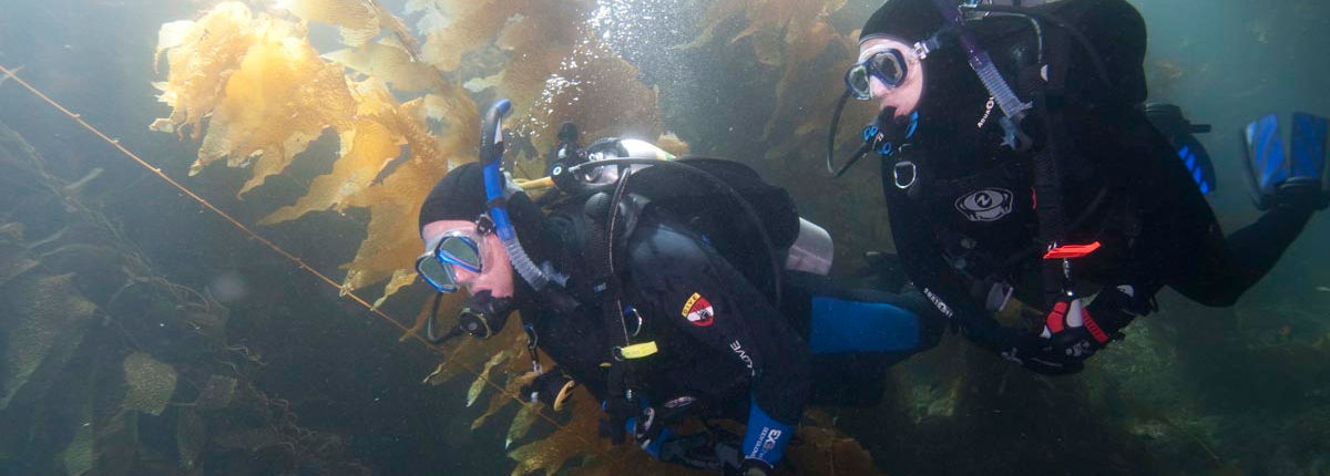Master Scuba Diver Trainer (MSDT) underwater