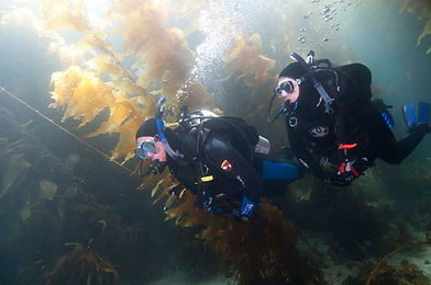 EANx0409_161.jpg