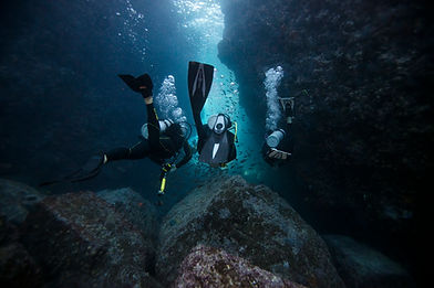 PADI_LaPaz_Underwater_oct_2016_0817.jpg