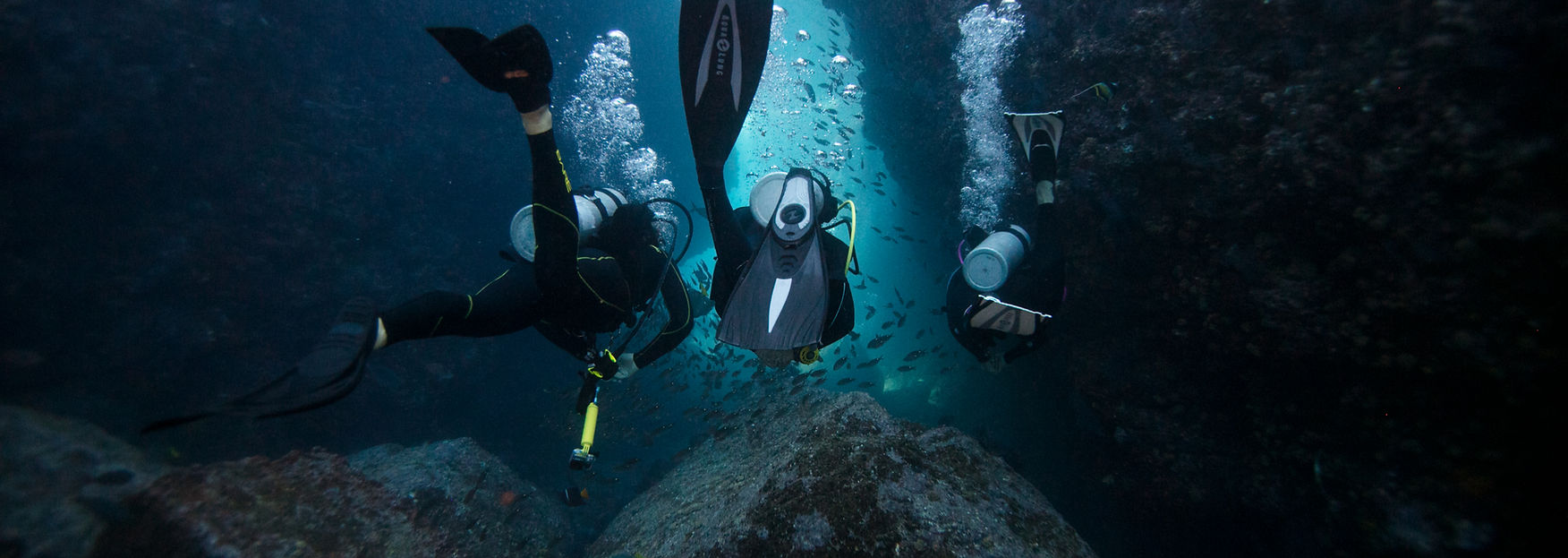 PADI CDTC prep program for future Course Director