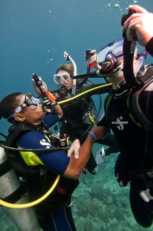 Is being a Dive Instructor for you