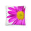 Thumbnail: Bright Pink Flower and White Throw Pillow 18"x18"