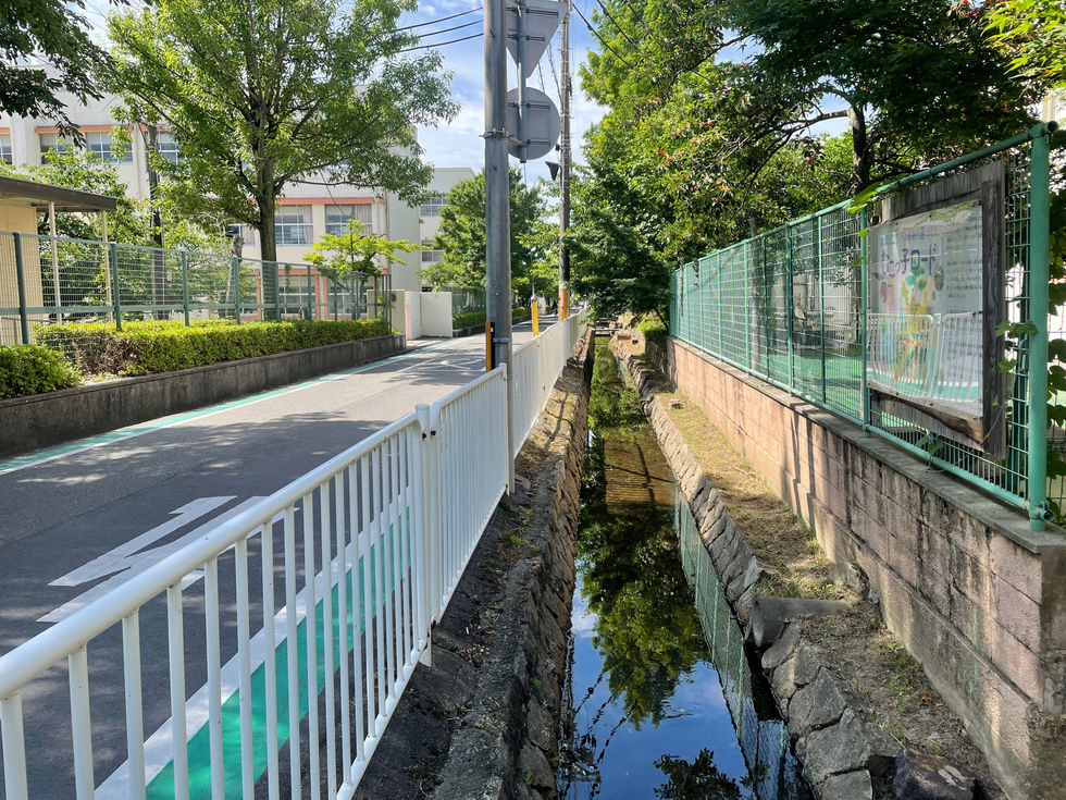 IMG_9074.jpeg