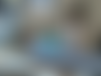 Entry 9: Activity1_VR_Training