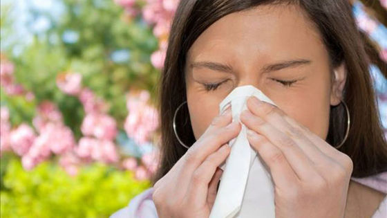 What Is An Allergy?