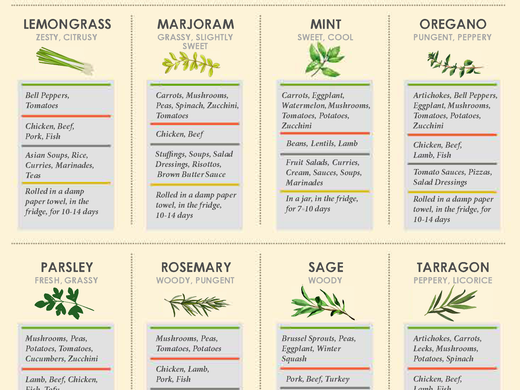 Cooking with Herbs