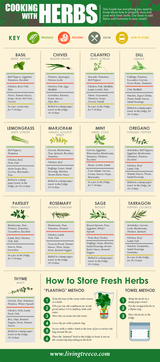 Cooking with Herbs
