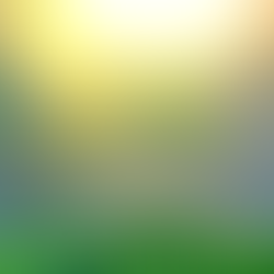 Enjoy the Living Tree Company Affirmation Video