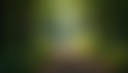 A tranquil path winding through a lush green forest.