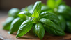 Fresh basil leaves provide a vibrant touch to summer dishes.
