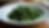 Eye-level view of a plate of sautéed sea kale