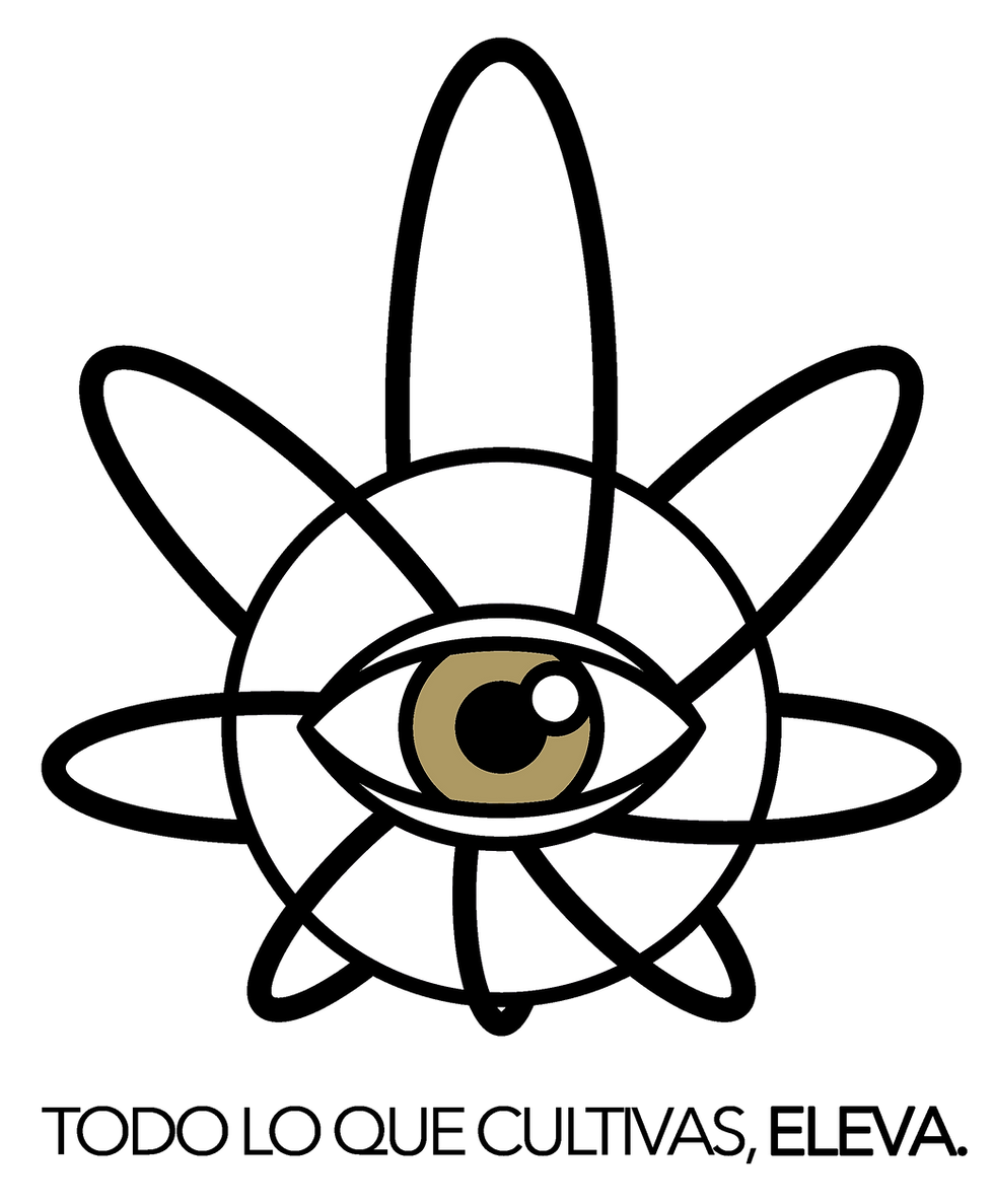 FUNDACION NEGRO (1).png