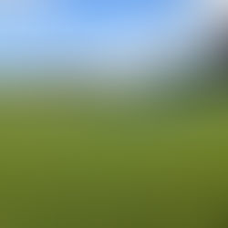 Square tucked up for winter!